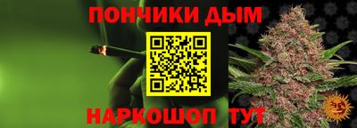 гашик Будённовск