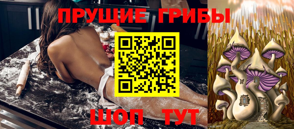 купить наркотик  Псилоцибиновые грибы Psilocybe  Ленинск-Кузнецкий  Вход с VPN  Псилоцибиновые грибы мухоморы 