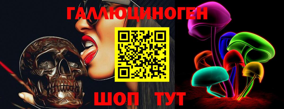 Галлюциногенные грибы GOLDEN TEACHER Ленинск-Кузнецкий